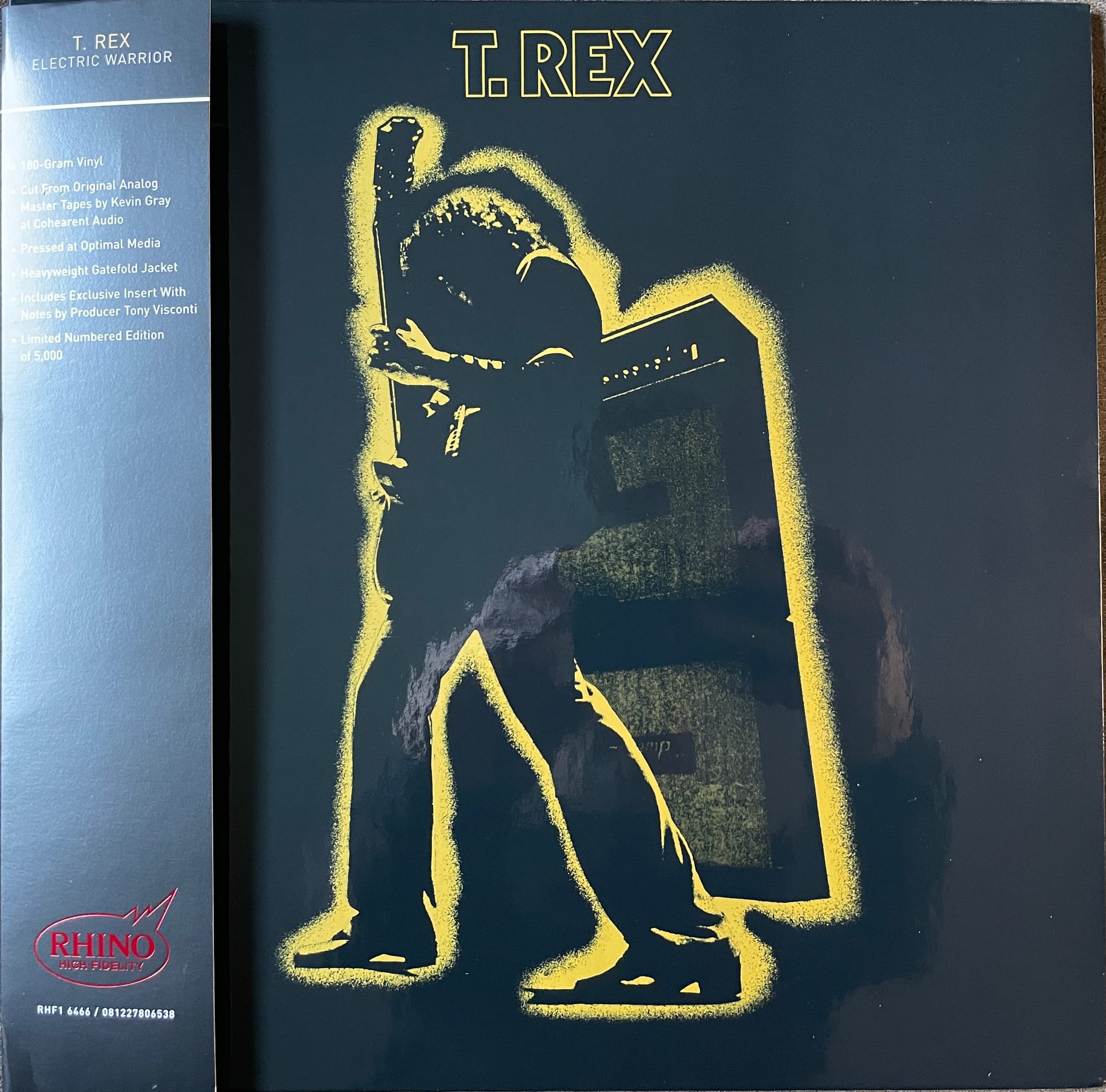 Cover art for T. Rex.