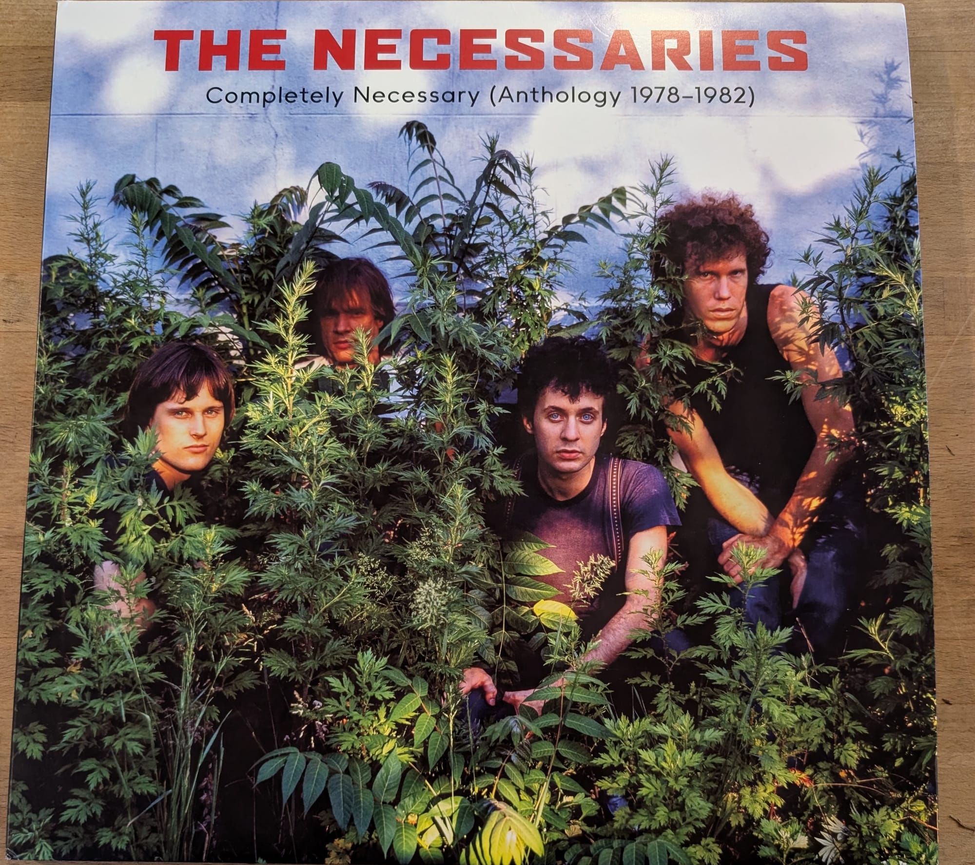 Cover art for the Necessaries.