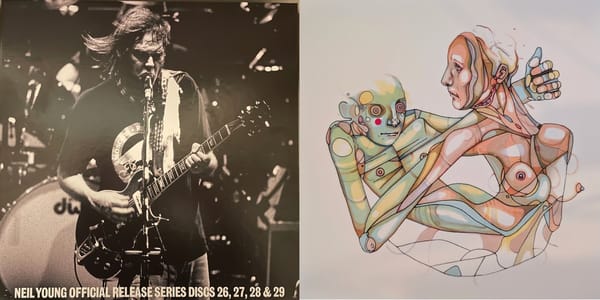 Cover art for Neil Young and Rumah Sakit.